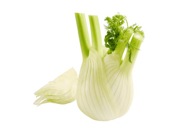 Fenchel
