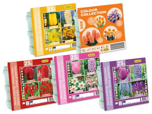 Frühjahrsblumenzwiebeln Kollektion