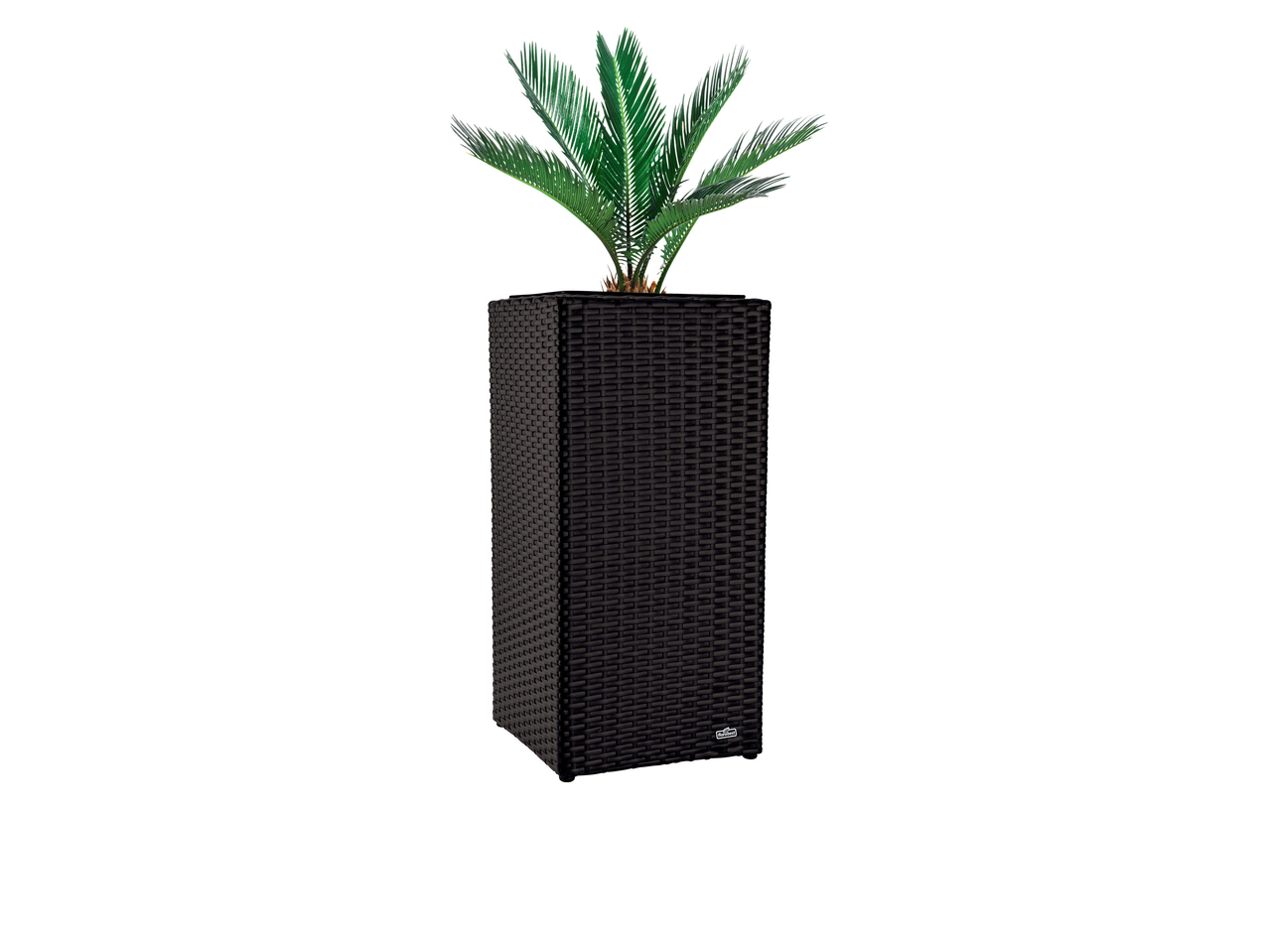 Large Wicker Planter