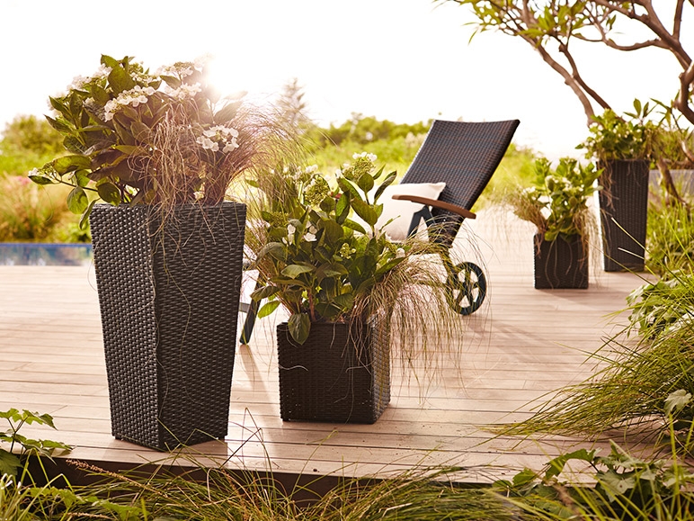 FLORABEST Wicker Planter