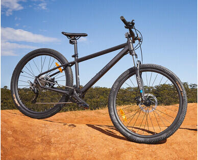 Large Premium Mountain Bike