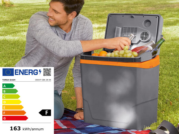 Frigo elettrico portatile