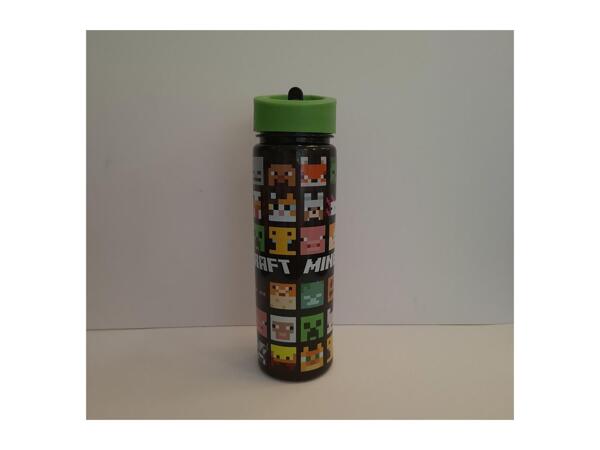 Minecraft 600ml Character Water Bottle