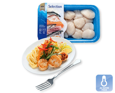 Scallops MSC ALMARE SEAFOOD