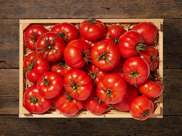 Tomates rébellion