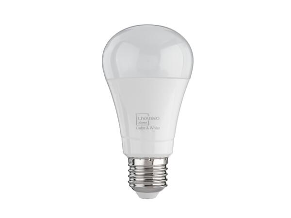 Smart LED Light Bulb