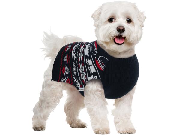 Dog Jumper