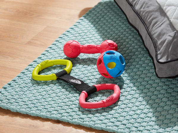 NERF DOG(R) Hundelegetøj
