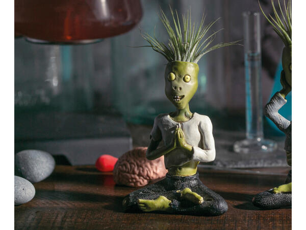 Tillandsia i keramik