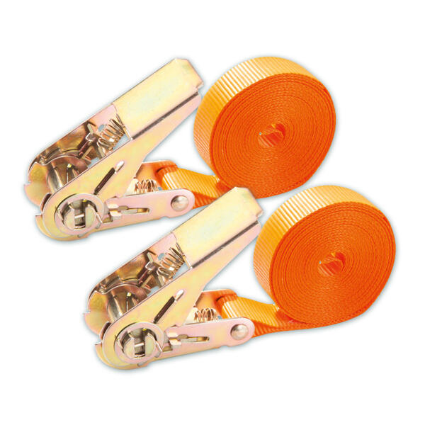 Spanngurt mit Ratsche 2er