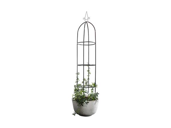 Rose Arch/​Trellis