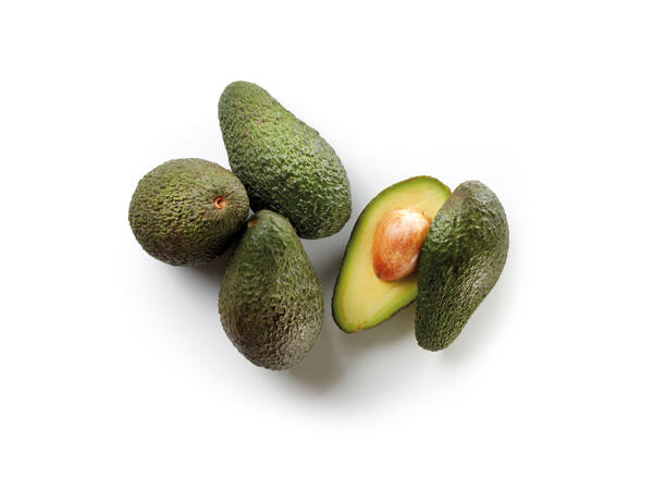 Avocado