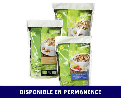 NATURE ACTIVE BIO 
 MUESLI CROQUANT BIO