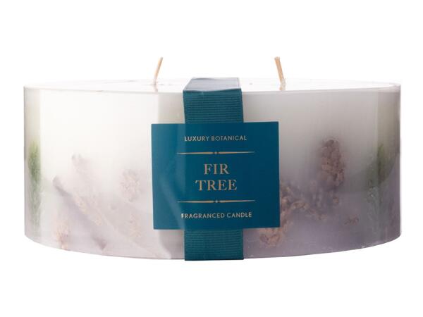 Winter Inclusion Candle 1.7kg - Fir Tree