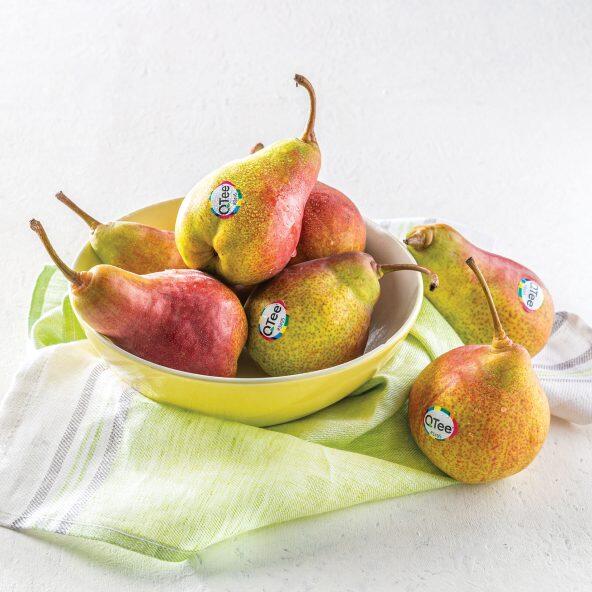 QTEE(R) 				Birnen