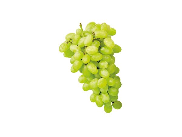 Vihreä viinirypäle