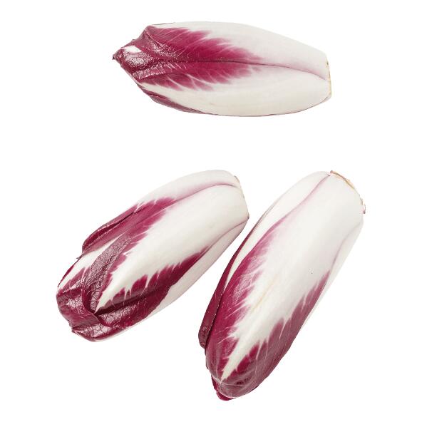 Radicchio