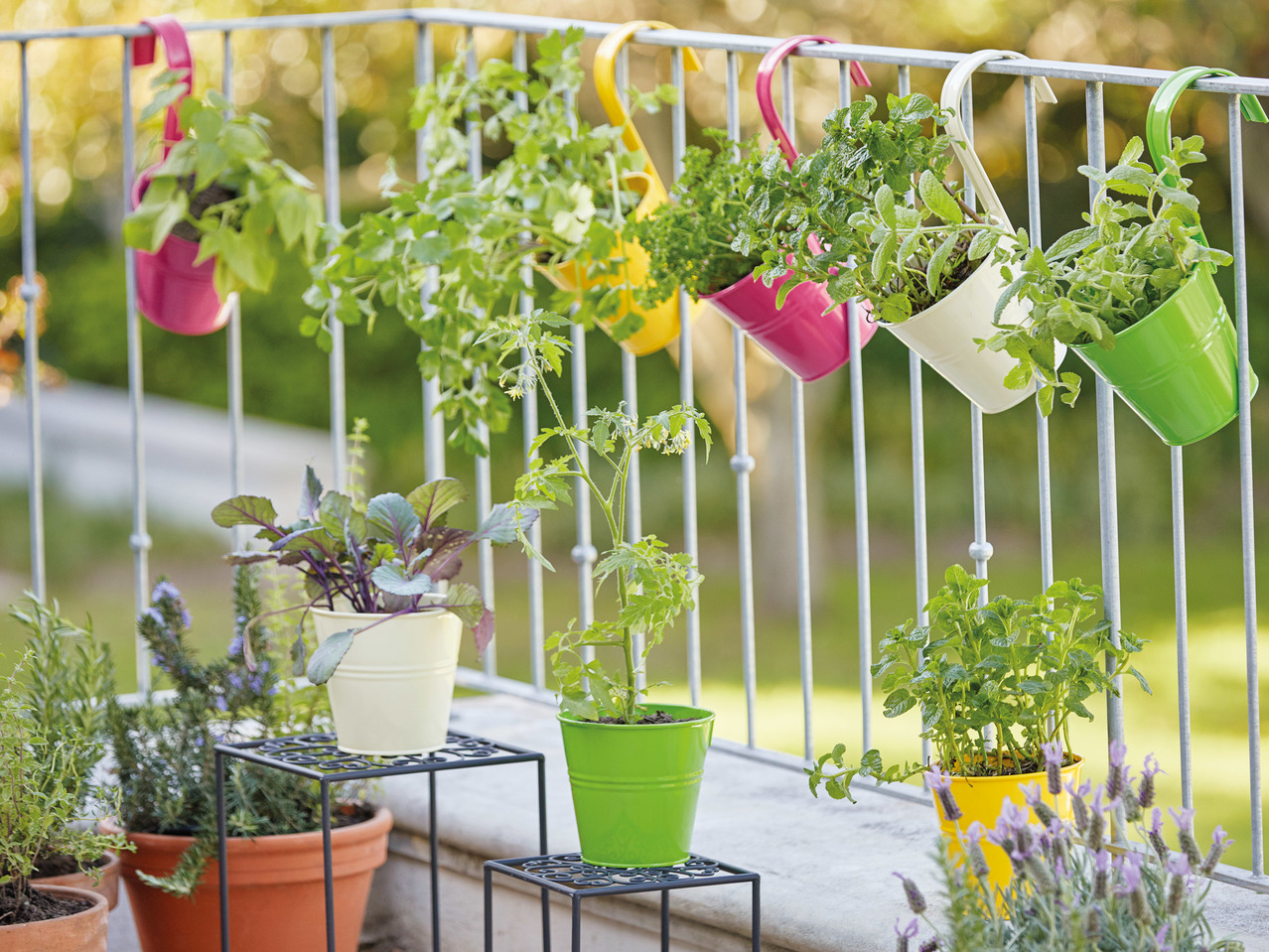 Florabest Hanging Plant Pots1