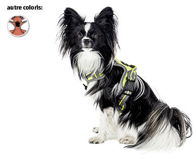 ROMEO 
 HARNAIS POUR CHIENS