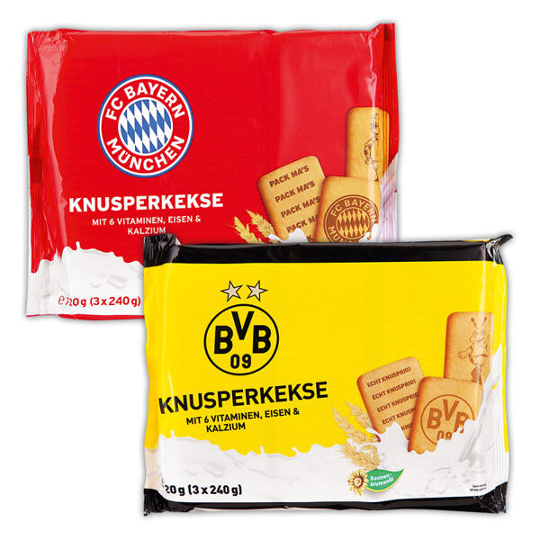FCB/BVB FanMix