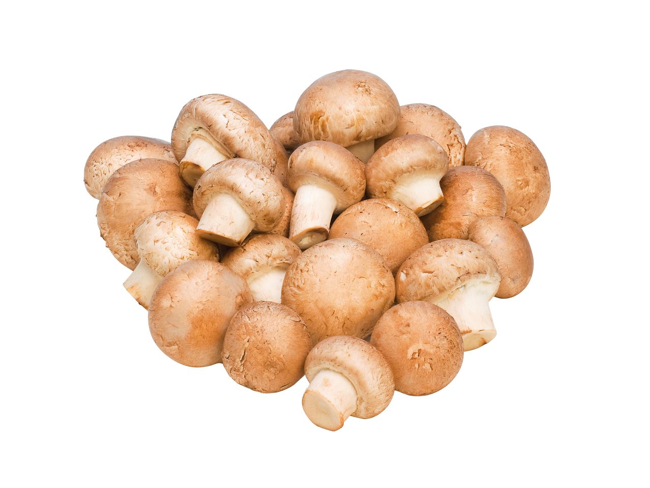 Ciuperci Champignon brune 500g caserolă
