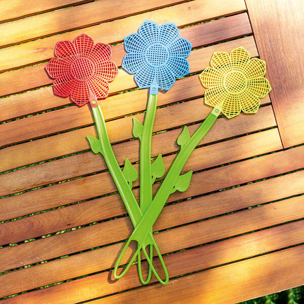 Fliegenklatsche Blume