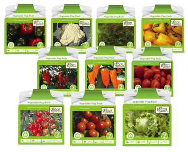 Vegetable Plug Packs