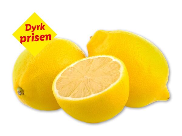 Økologiske citroner