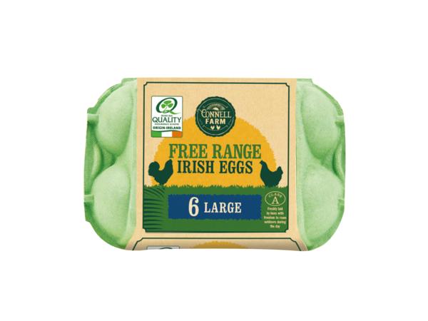 Large Free Round Eggs