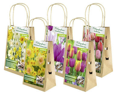BULBI DA FIORE SPECIALI