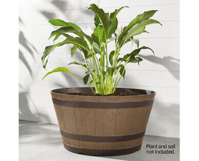 Whiskey Barrel Planter