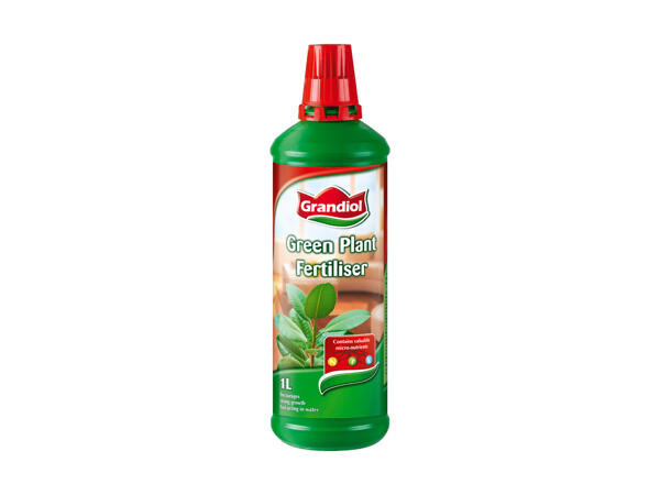 Engrais pour plantes vertes