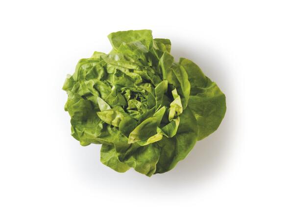 Lettuce