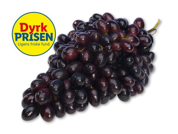 Mørke stenfri vindruer