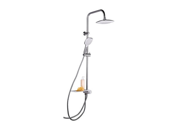 Shower Riser Set With Shelf