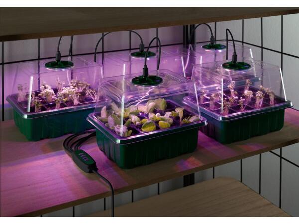 Propagator Set