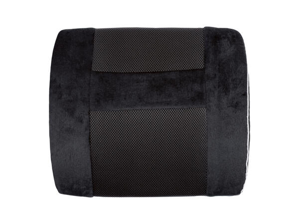Back Cushion