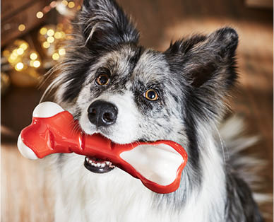 Scented Dog Toy