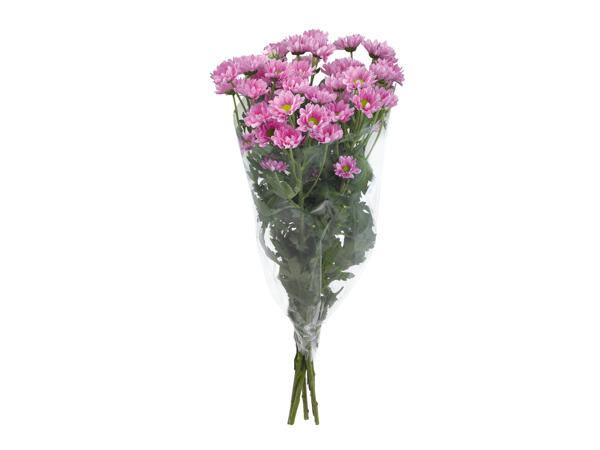 Bunch of Chrysanthemums