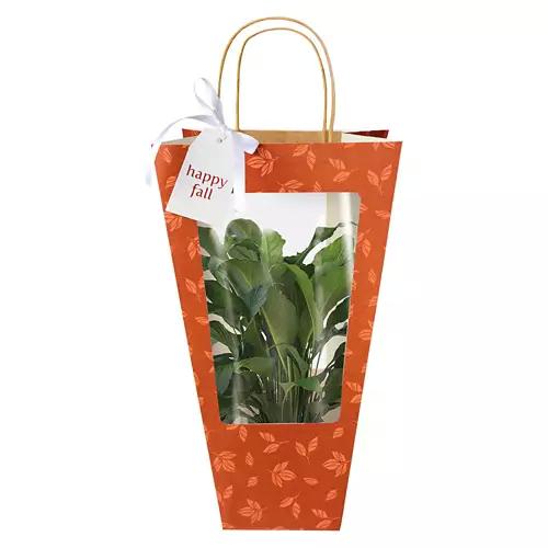 Decorated Foliage Bag - Assorted Varieties