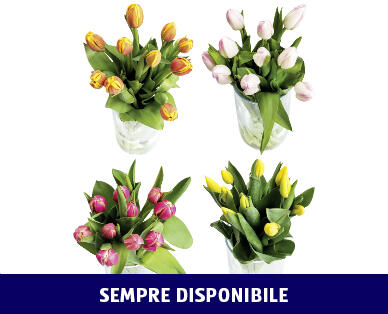 TULIPANI