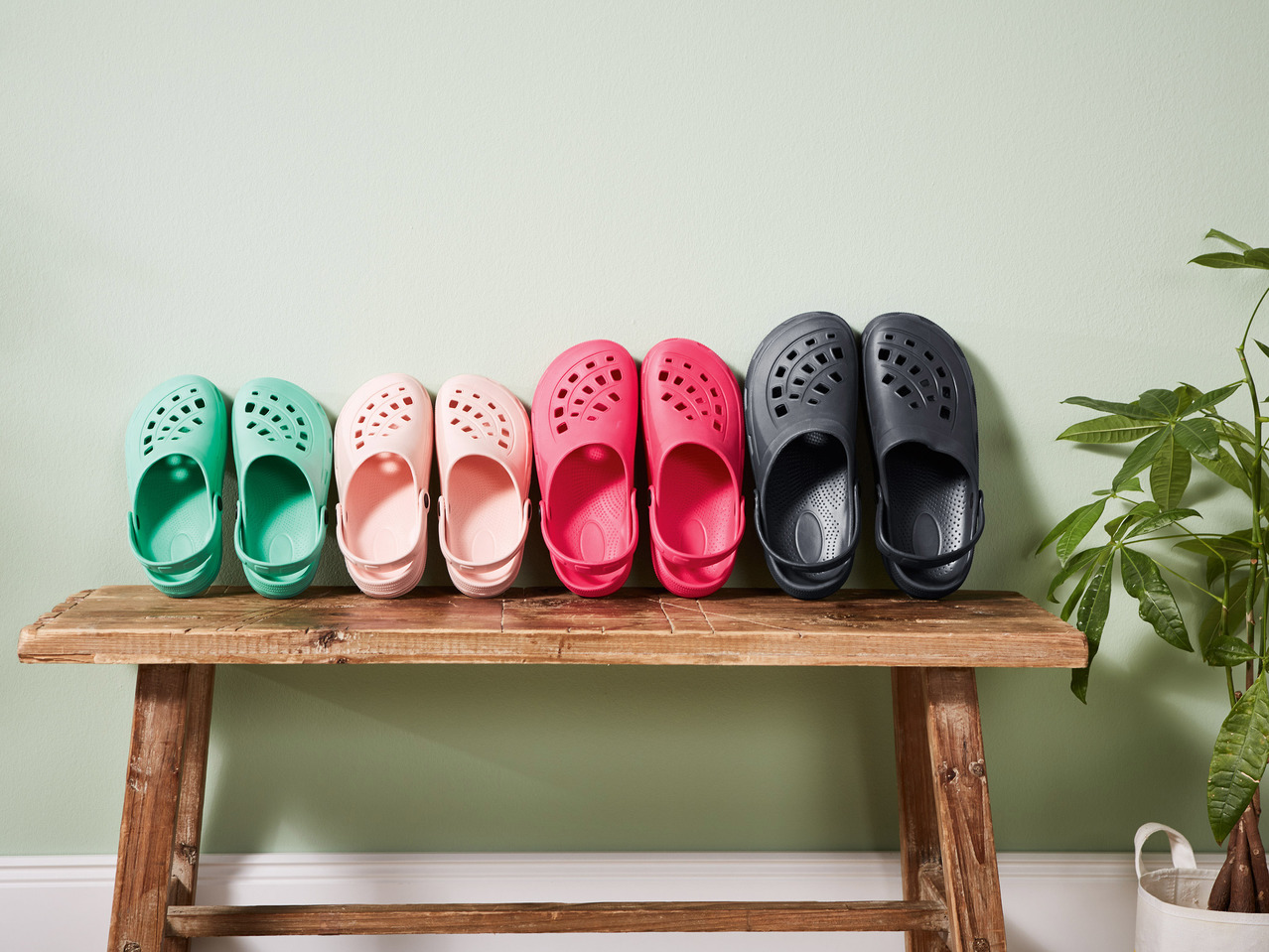 Ladies' Clogs