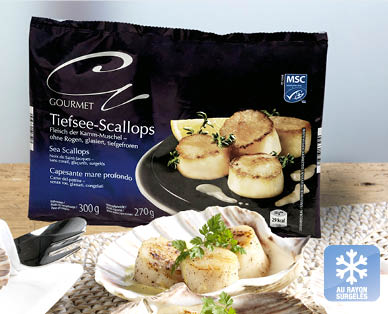 Noix de Saint-Jacques MSC GOURMET