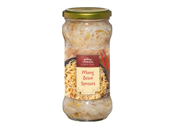 Bamboo Shoots or Mung Bean Sprouts
