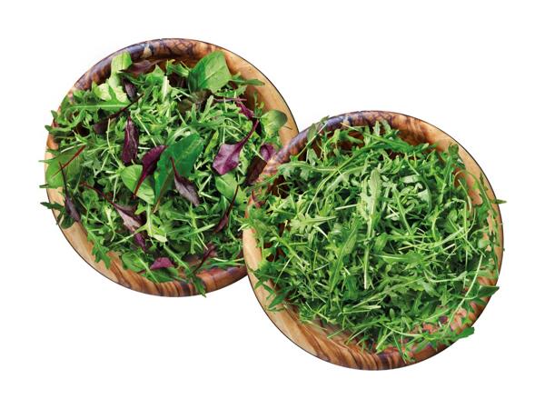 Mix-Salat oder Rucola