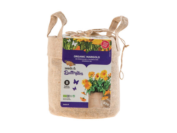 Seeds and Butterflies Kit