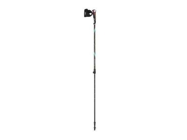 Karbonové hole na Nordic Walking