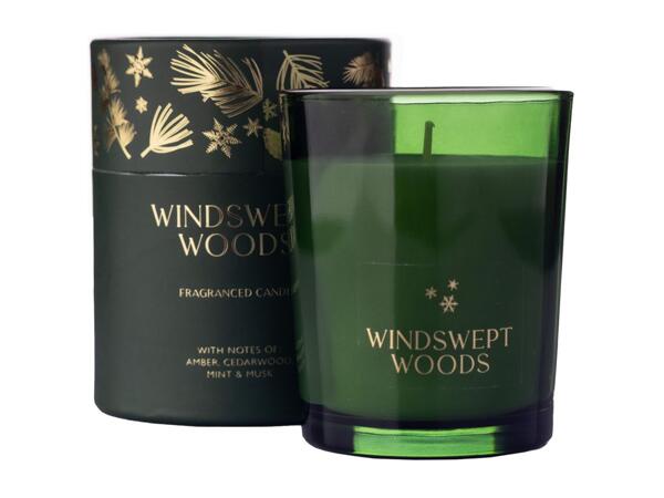 Windswept Woods Scented Candle