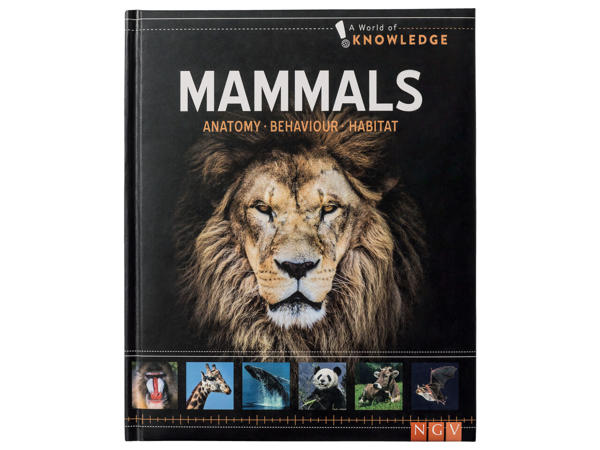 Assorted Kids' Encyclopaedias