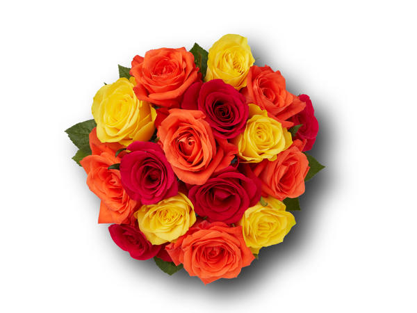 Mixed Fairtrade Roses